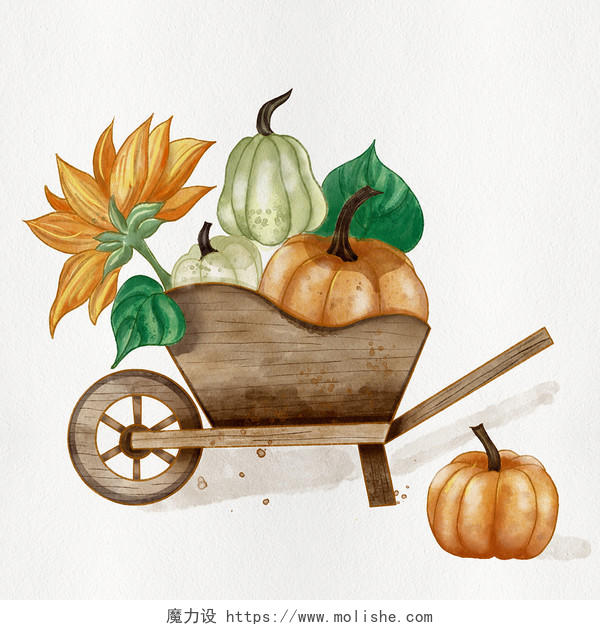 秋天丰收的在独轮木质手推车里的南瓜和向日葵